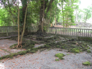 静岡:山宮浅間神社