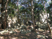 静岡:渭伊神社