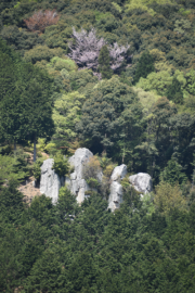 兵庫:石像寺