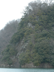 神奈川:石楯尾神社